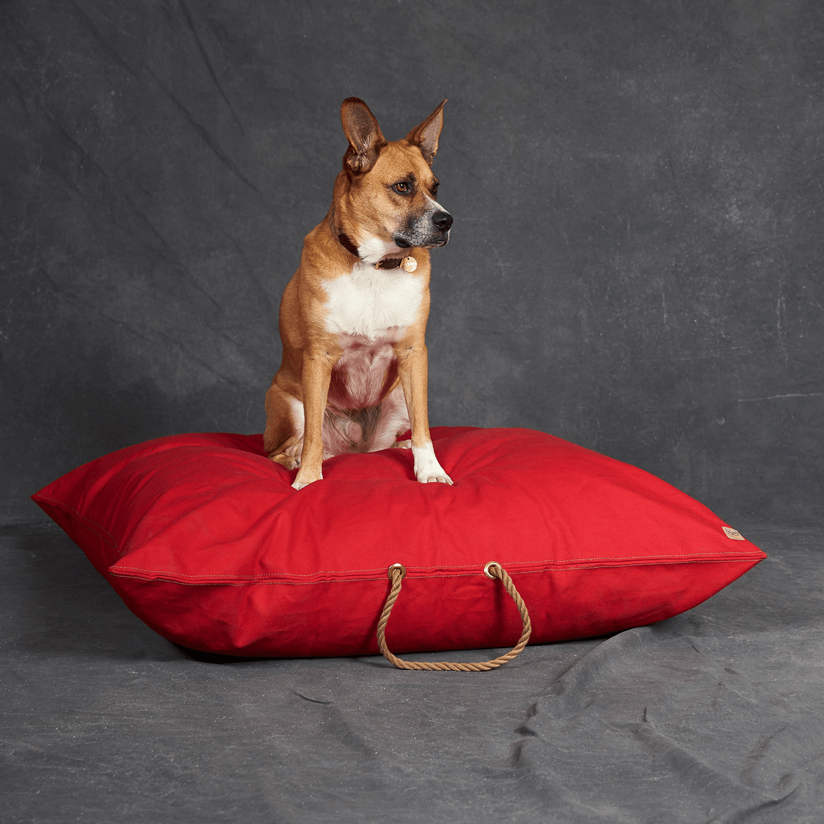 Red Washable Velvet Dog Bed