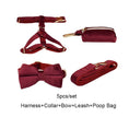 Load image into Gallery viewer, Red Wine Velvet Set
