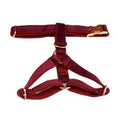 Load image into Gallery viewer, Red Wine Velvet Set

