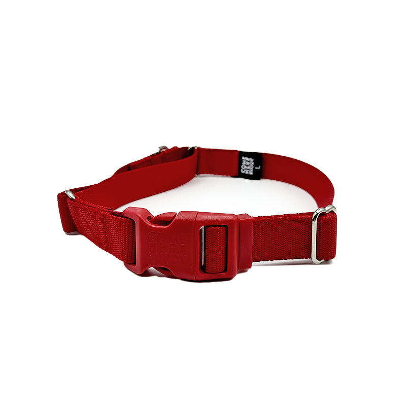 Martingale Dog Collar - Southlake Paws
