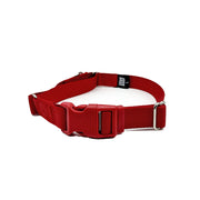 Martingale Dog Collar