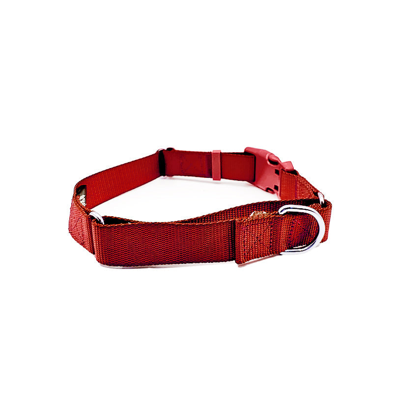 Martingale Dog Collar - Southlake Paws