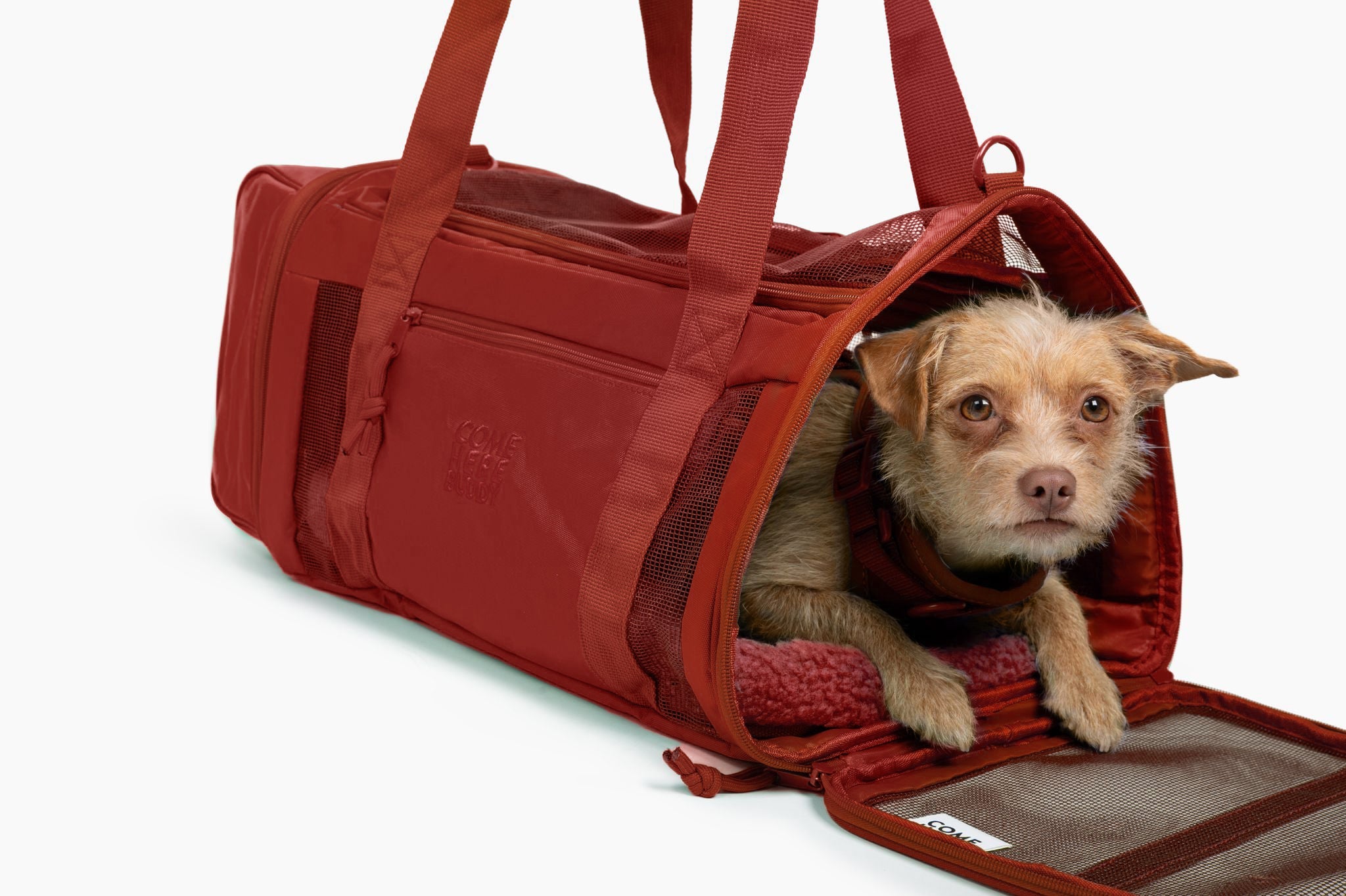 Travel Buddy - Pet Carrier - Southlake Paws