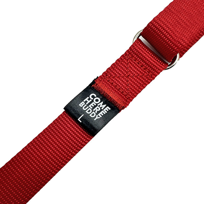 Martingale Dog Collar - Southlake Paws