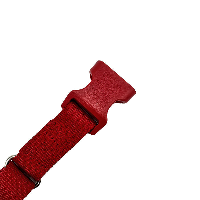 Martingale Dog Collar - Southlake Paws