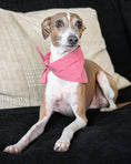 Load image into Gallery viewer, CLASSIC BANDANA - Southlake Paws
