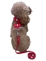4ft Bow Tie Leash, Red 