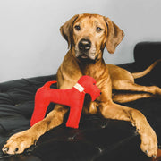 Orange cotton dog gift toy