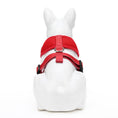 Load image into Gallery viewer, EcoBark Chery Red Dog Harness - Over-the-Head Soft Mesh Dog Vest Halter for Small to Medium Dogs and Puppies
