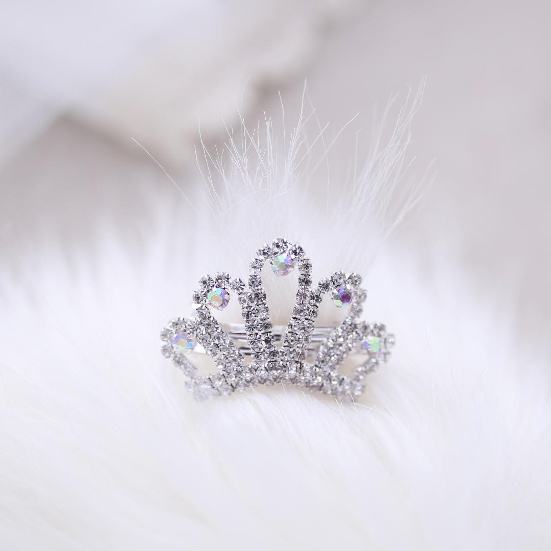 Tiara Barrette Bows & Barrettes - Designer Dog Clothes from Southlake Paws