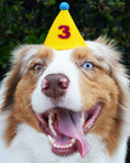 Load image into Gallery viewer, PAWTY HAT - Purple Number
