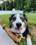Load image into Gallery viewer, 1996 TEQUILA PLUSH DOG TOY - Southlake Paws
