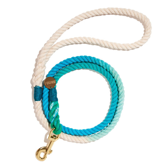 Standard 5ft Leads Premium Robins Egg Blue Cotton Rope Dog Leash, Standard - 5FT