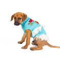 Load image into Gallery viewer, Rodeo Dog Sweater

