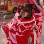 Roll Neck Dog Knitted Love Sweater 