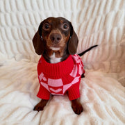 Roll Neck Dog Knitted Love Sweater