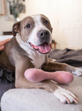 Load image into Gallery viewer, MB WOOLBONE - Southlake Paws
