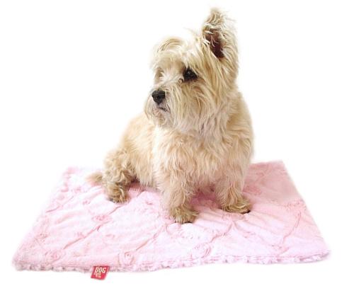 Blanket, Embroidered Roses in Pale Pink 