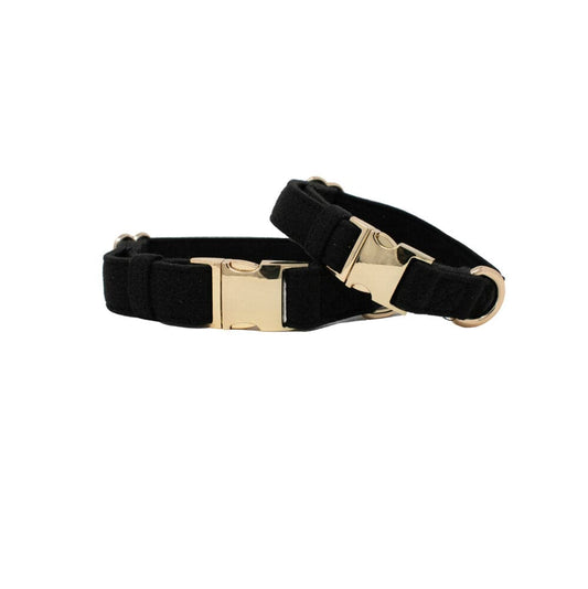 Ryan Dog Collar
