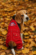Load image into Gallery viewer, Parisian Pet 'Route 66 Jumpsuit' for Dogs and Cats, Fashionable Pet Jumpsuit for Parties, Red
