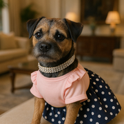 Parisian Pet 'Nautical Dress' for Dogs and Cats, Sleeveless Designer Beach Dress, Comfortable Pet Clothing, Pink & Navy