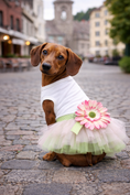 Load image into Gallery viewer, Parisian Pet 'Sunflower Dress' for Dogs and Cats, Designer Sleeveless, Summer Pet Apparel, Green
