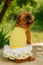 Parisian Pet 'Ballerina Dress' for Dogs and Cats, Comfortable Sleeveless, Yellow with White Stripes