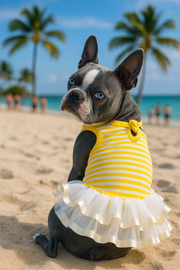 Parisian Pet 'Ballerina Dress' for Dogs and Cats, Comfortable Sleeveless, Yellow with White Stripes