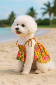Parisian Pet 'Hawaiian Dress' Dog & Cat Shirt – Island-Themed Vacation Pet Apparel – Orange