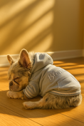 Load image into Gallery viewer, Parisian Pet 'Blessed Hoodie' in Gray - Trendy Pet Hoodie for Dogs & Cats, Perfect for Fall & Winter
