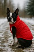 Load image into Gallery viewer, Parisian Pet 'Plaid Reversible Jacket' for Dogs & Cats, Stylish Pet Outerwear, Warm Winter Dog Jacket,-Valentine's Day
