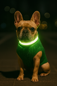 Load image into Gallery viewer, Parisian Pet 'Cable Knit Sweater' - Warm & Stylish Pet Sweater in Green for Dogs & Cats
