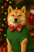 Load image into Gallery viewer, Parisian Pet 'Cable Knit Sweater' - Warm & Stylish Pet Sweater in Green for Dogs & Cats
