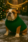 Load image into Gallery viewer, Parisian Pet 'Cable Knit Sweater' - Warm & Stylish Pet Sweater in Green for Dogs & Cats
