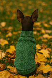 Parisian Pet 'Cable Knit Sweater' - Warm & Stylish Pet Sweater in Green for Dogs & Cats
