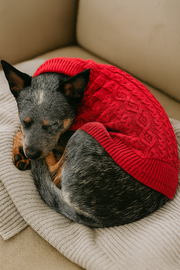 Parisian Pet 'Cable Knit Sweater' - Warm & Stylish Pet Sweater in Red for Dogs & Cats-Valentine's Day