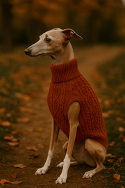 Parisian Pet 'Cable Knit Sweater' - Warm & Stylish Pet Sweater in Terracotta for Dogs & Cats