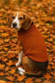 Parisian Pet 'Cable Knit Sweater' - Warm & Stylish Pet Sweater in Terracotta for Dogs & Cats