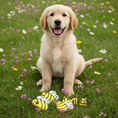 Load image into Gallery viewer, Be Mine Organic Dog Cookies
