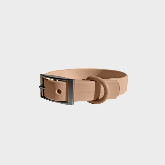 Everyday Collar - Southlake Paws