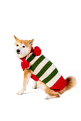 Load image into Gallery viewer, Christmas Elf Holiday Dog Sweater
