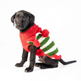 Load image into Gallery viewer, Christmas Elf Holiday Dog Sweater

