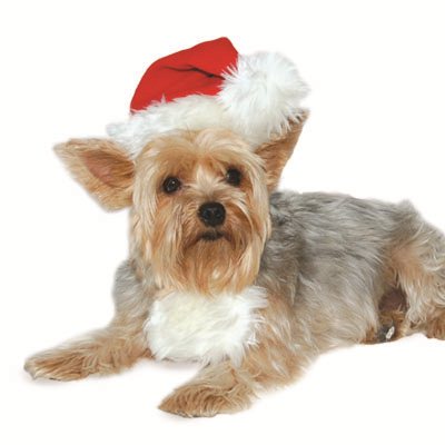 Santa Hat