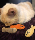 Load image into Gallery viewer, HuggleKats® Sardinies Cat Toys, 3 Pack - image 9

