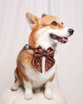 Load image into Gallery viewer, Satin Collar Bow 2.0 - Cocoa
