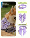 Load image into Gallery viewer, Satin Collar Bow 2.0 - Lilac

