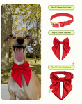 Load image into Gallery viewer, Satin Collar Bow - Cherry
