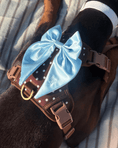 Load image into Gallery viewer, Satin Harness Bow - Sky
