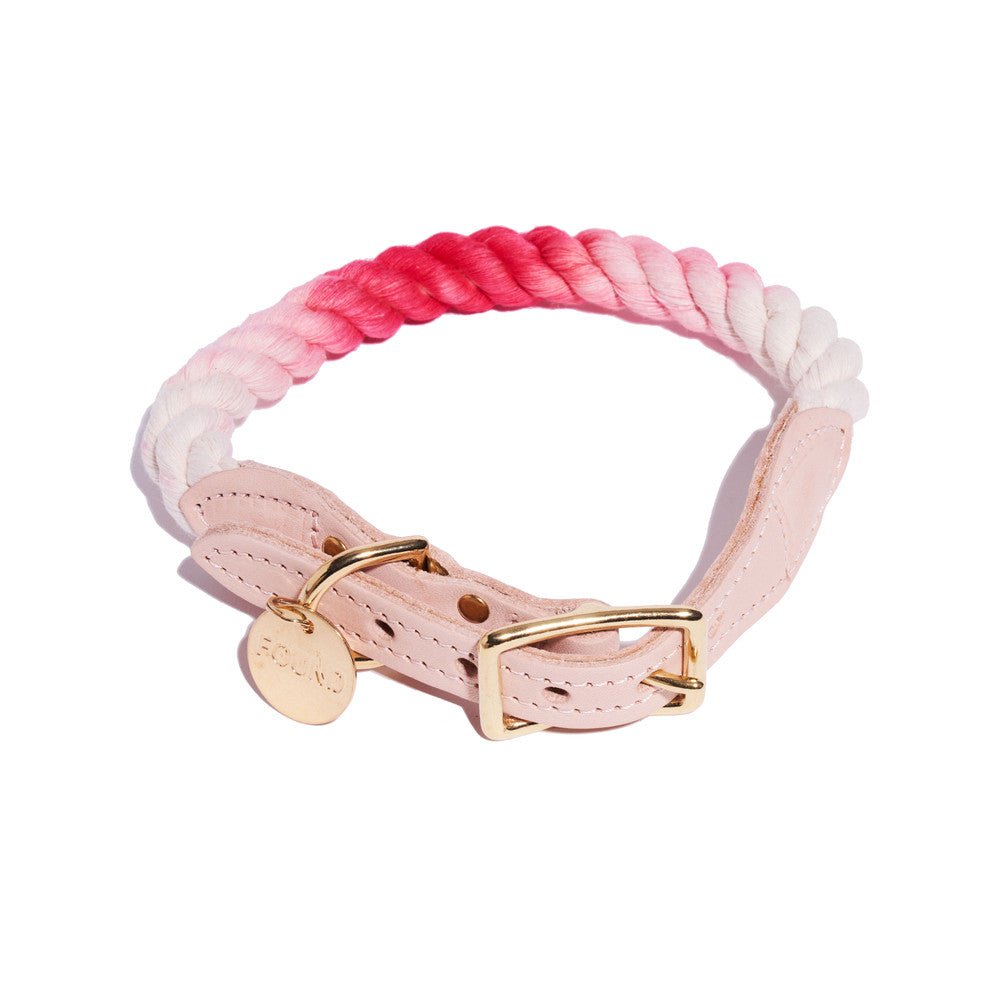 Dog Collars Premium Scarlet Ombre Cotton Rope Cat & Dog Collar