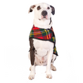 Load image into Gallery viewer, Scotty Plaid Dog Coat
